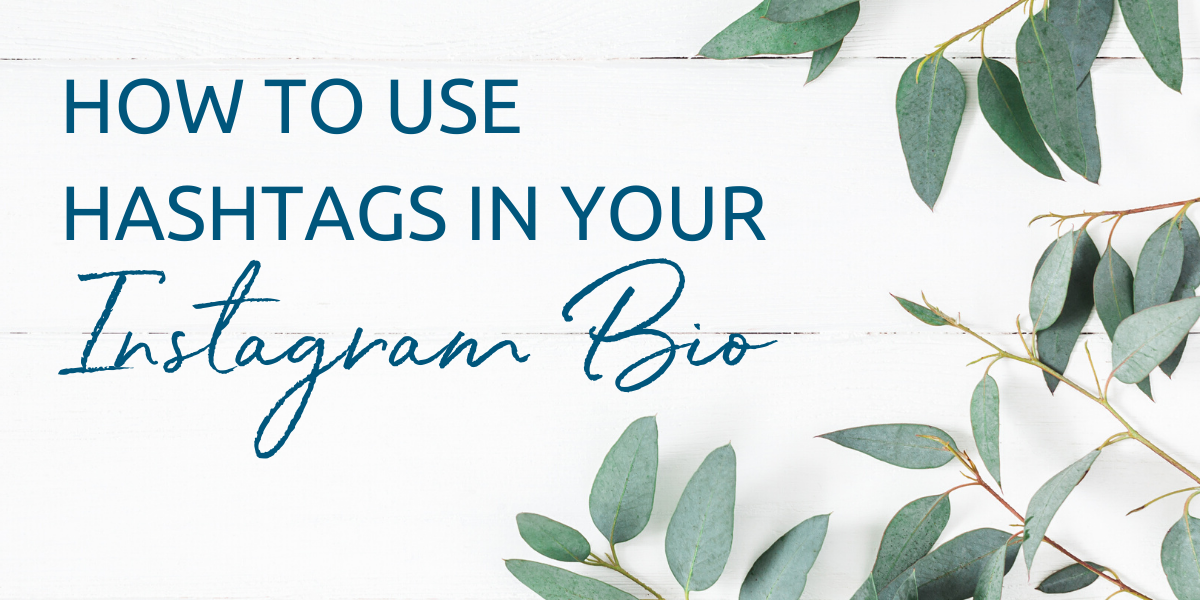 How to use hashtags in your Instagram bio • Koala VA